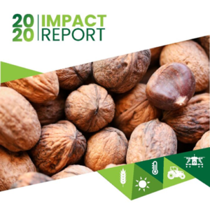 2020 impact report