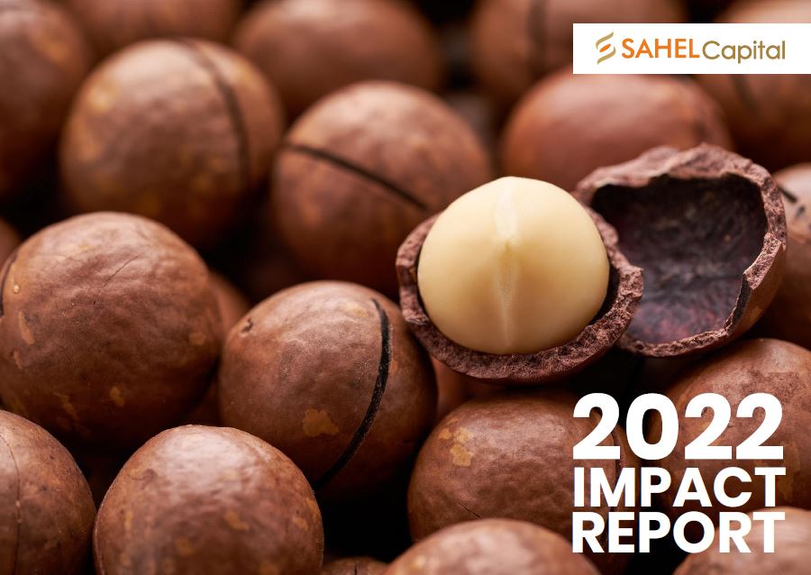 Sahel Capital Impact Report Feature Image